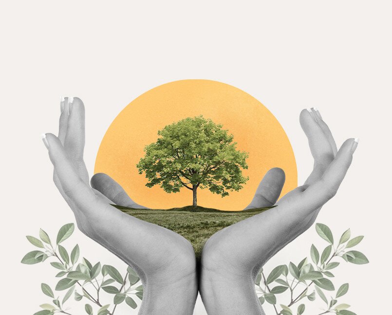 Sustainable Travel Tips for the New Year: Your Guide to Greener Adventures in 2025