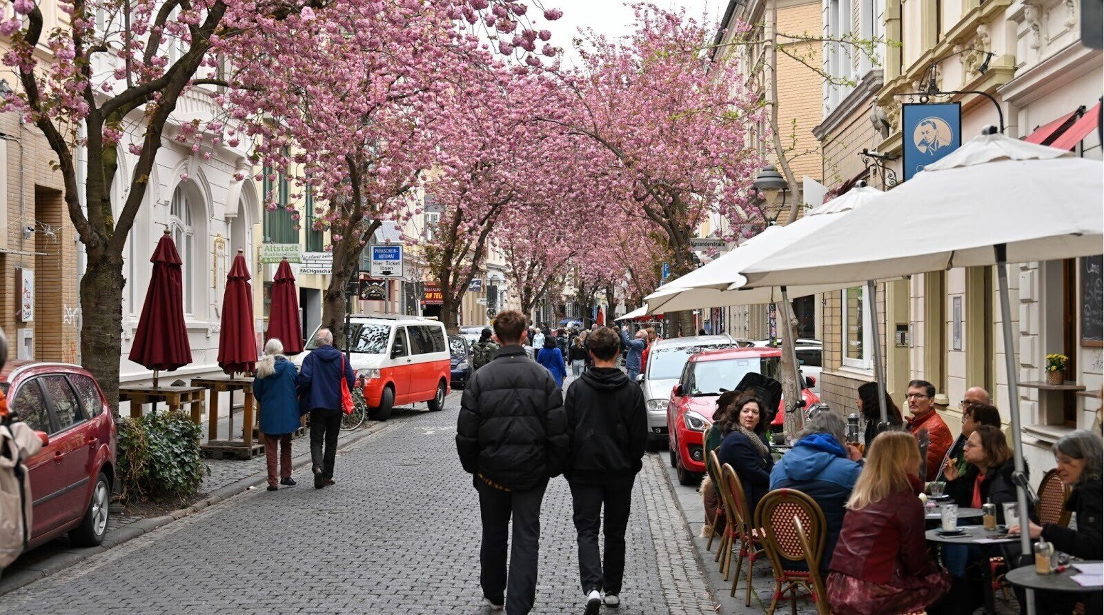 Em dúvida sobre onde ir na Europa na primavera? Veja as cerejeiras florescerem nas vielas da cidade antiga de Bonn, Alemanha.