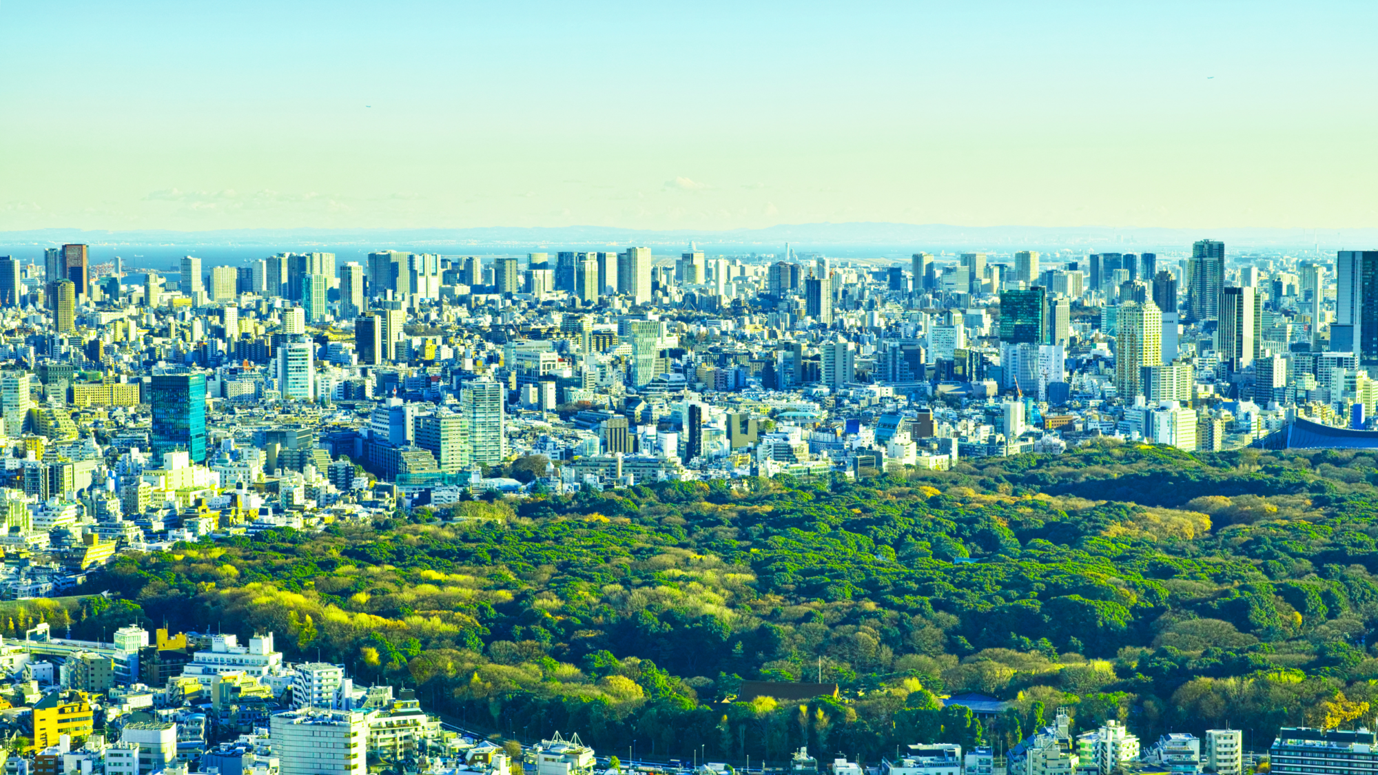 Shinjuku e il Giardino Nazionale
