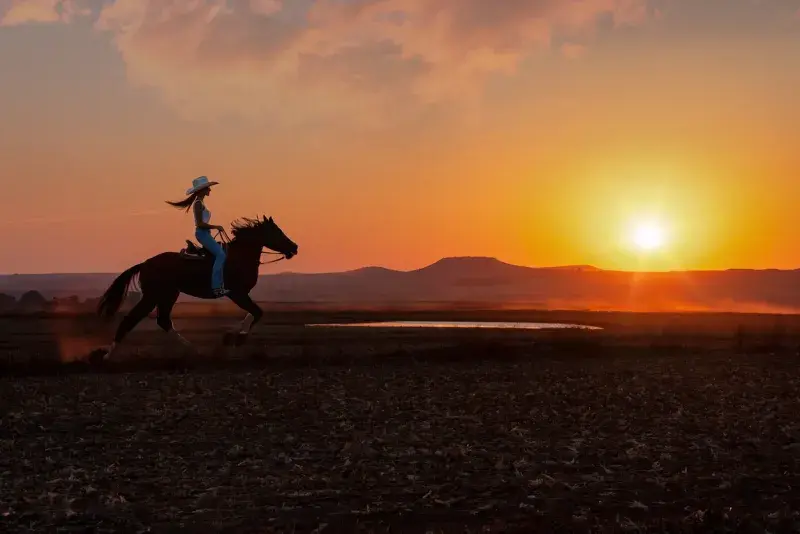 Silueta de una persona a caballo al atardecer en una pradera, con el sol bajo en el horizonte.