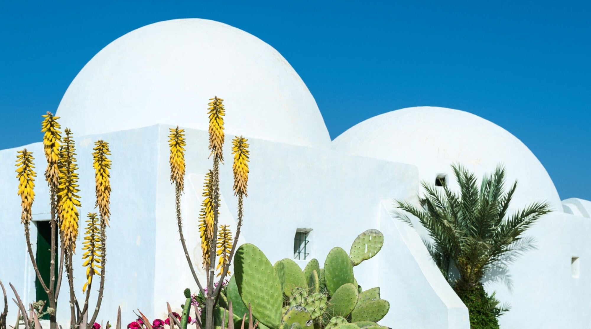 paysage a Djerba, tunisie en fevrier