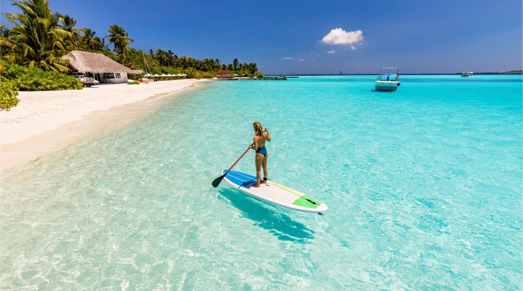 Vista traseira de mulheres despreocupadas paddleboarding no dia de verão no mar
