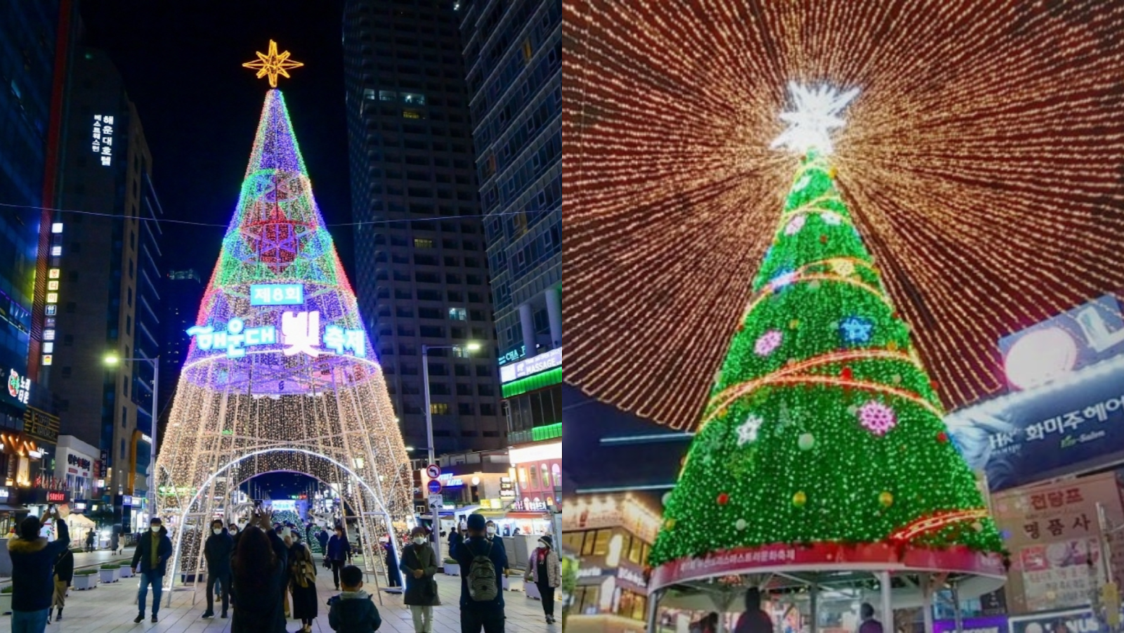 Busan Christmas Tree Festival (부산 크리스마스트리 문화축제)