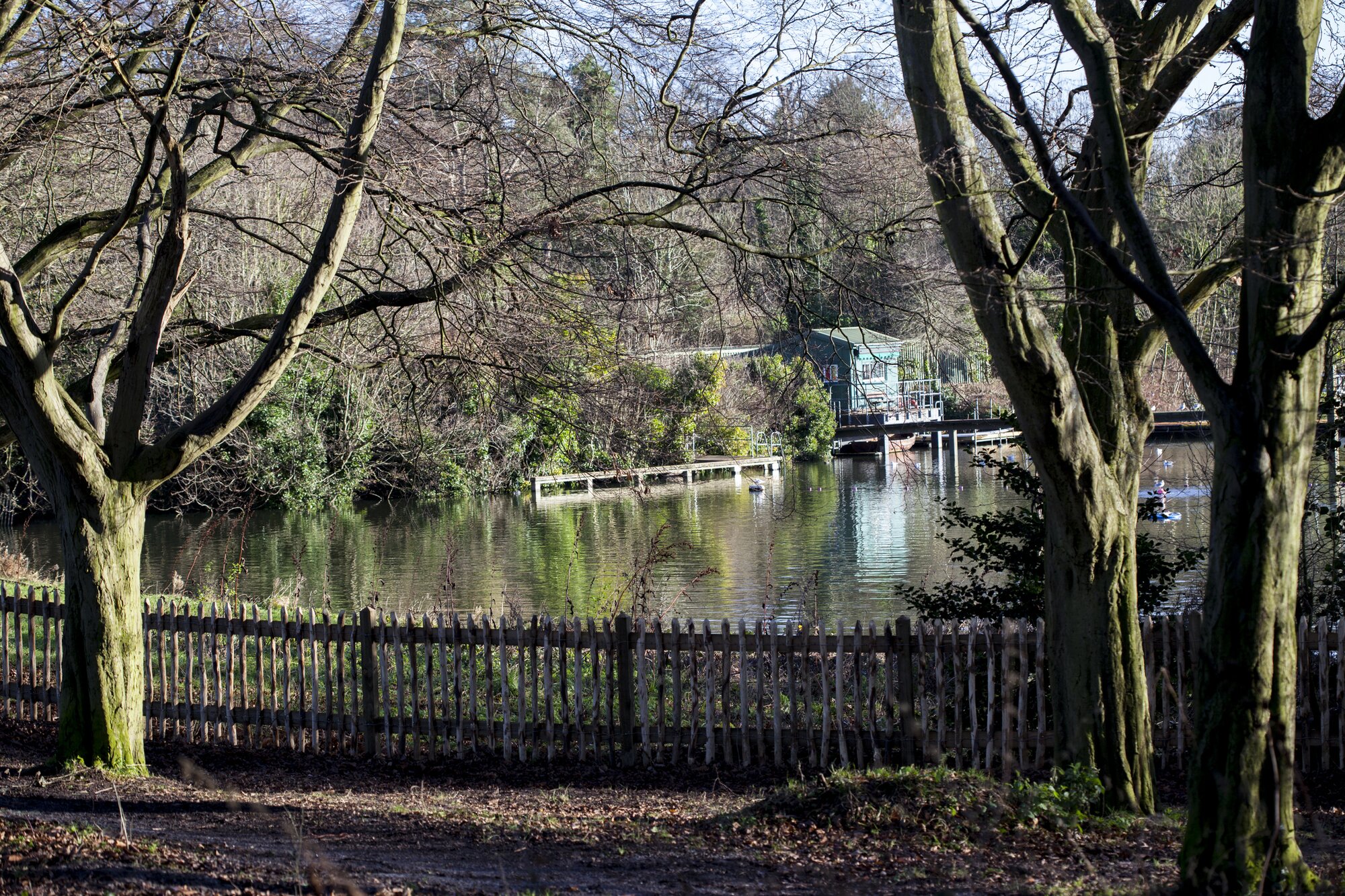 Hampstead Heath pond in the early spring in London