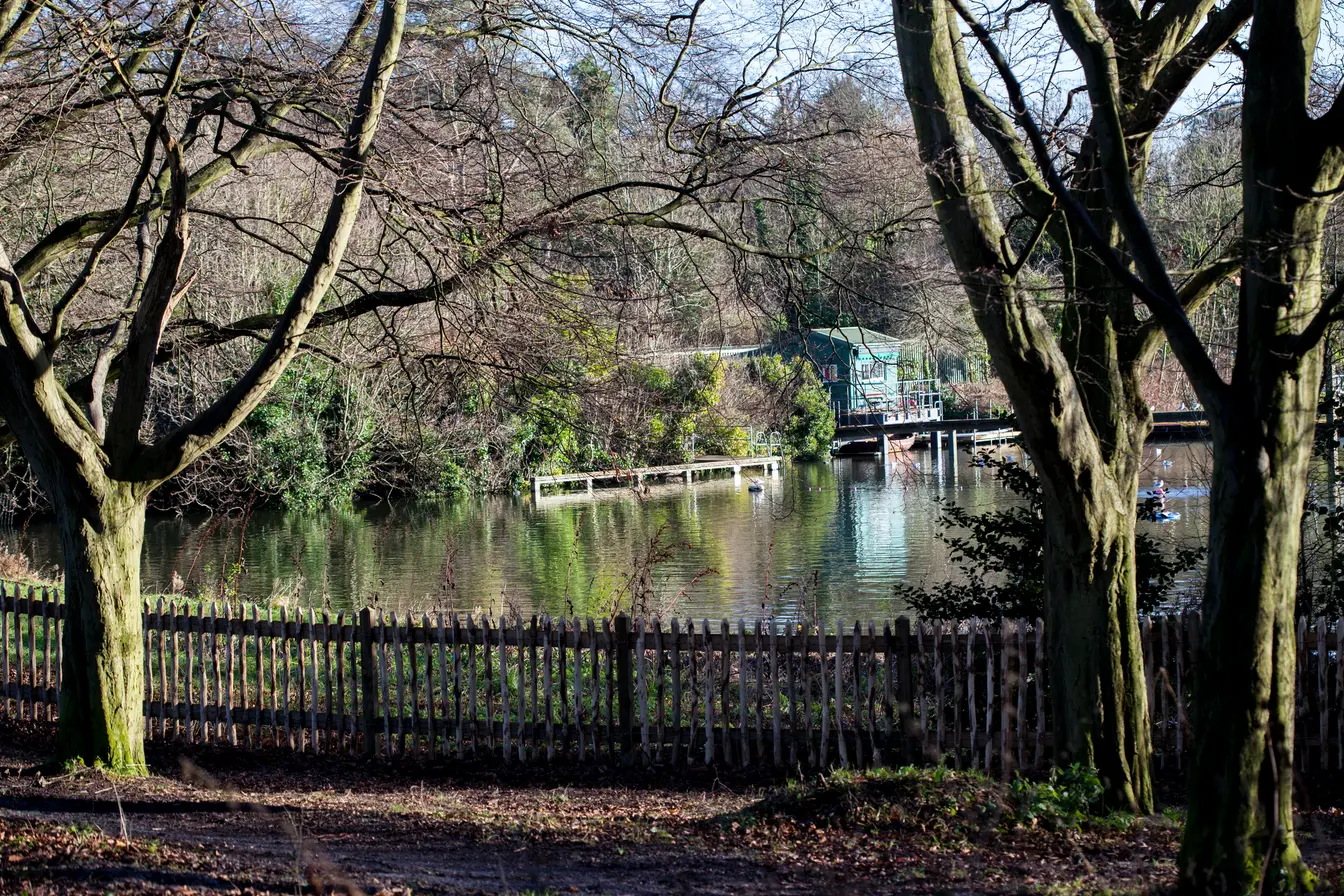 Hampstead Heath pond in the early spring in London