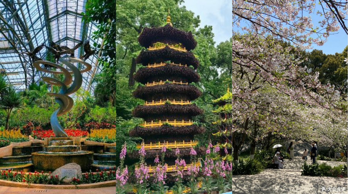 Displays in the Nanshan Botanical Garden