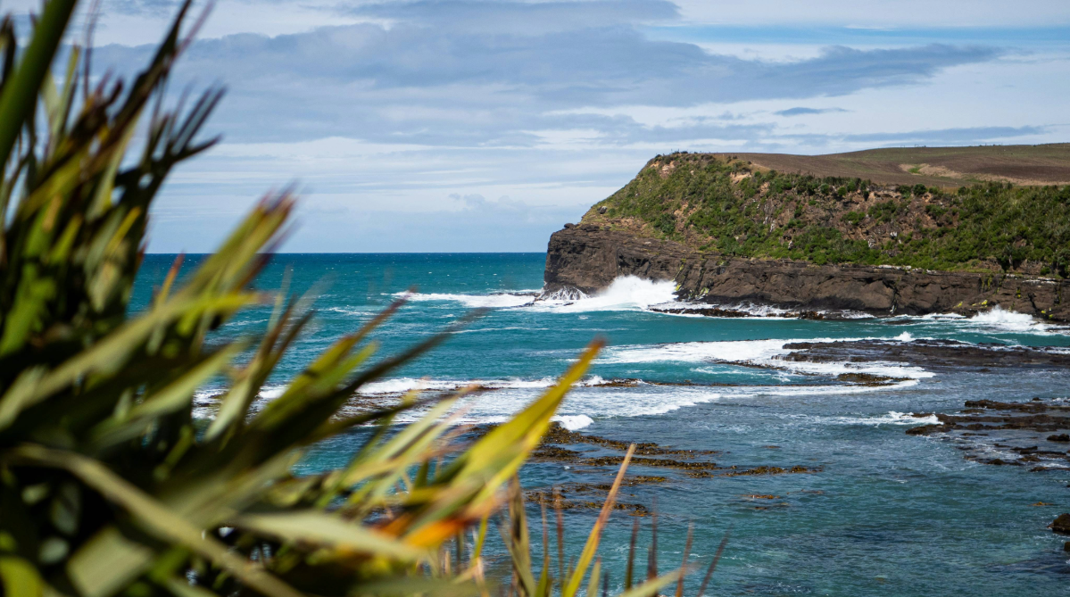 The Catlins, New Zealand