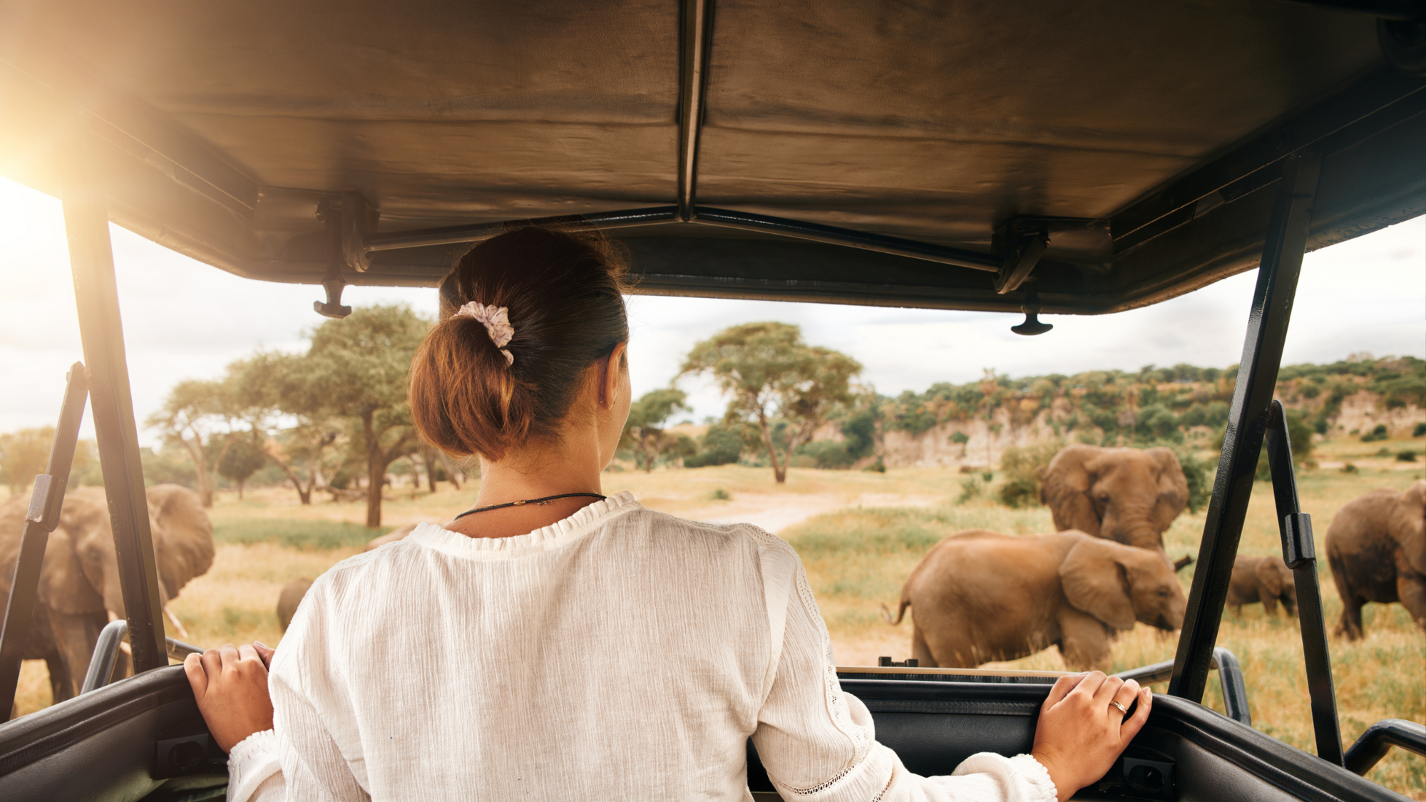Safari in Africa con Airalo