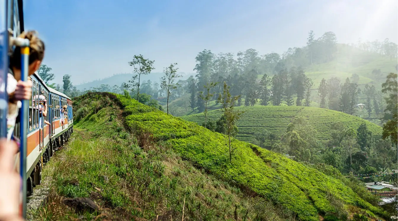Voyageuse dans le train entre Ella et Kandy au milieu des plantations de thé au Sri Lanka