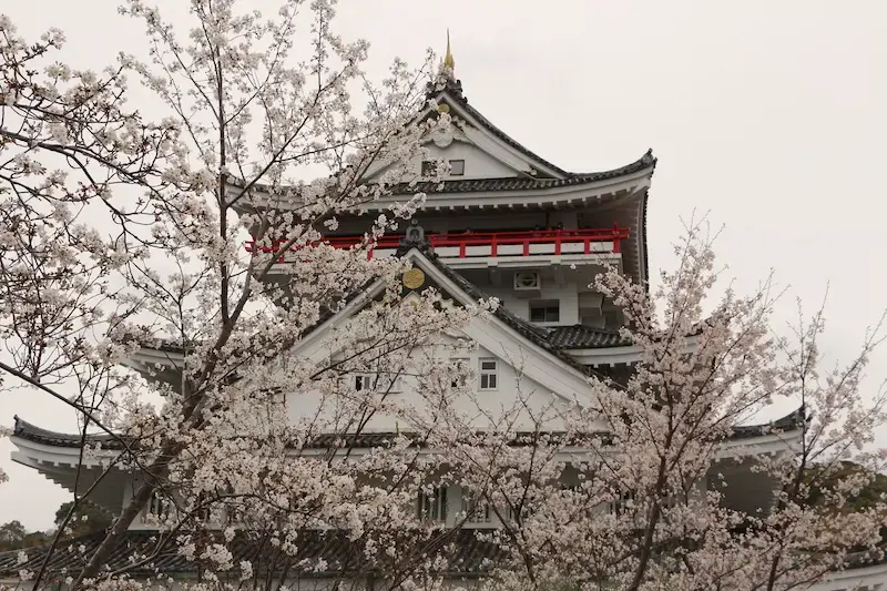 Cerezos en flor cerca del castillo de Atami para ilustrar cómo organizar un viaje a Japón