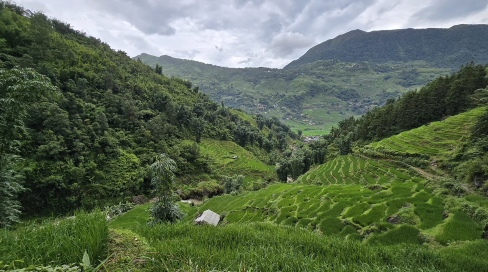 Hills of Sapa