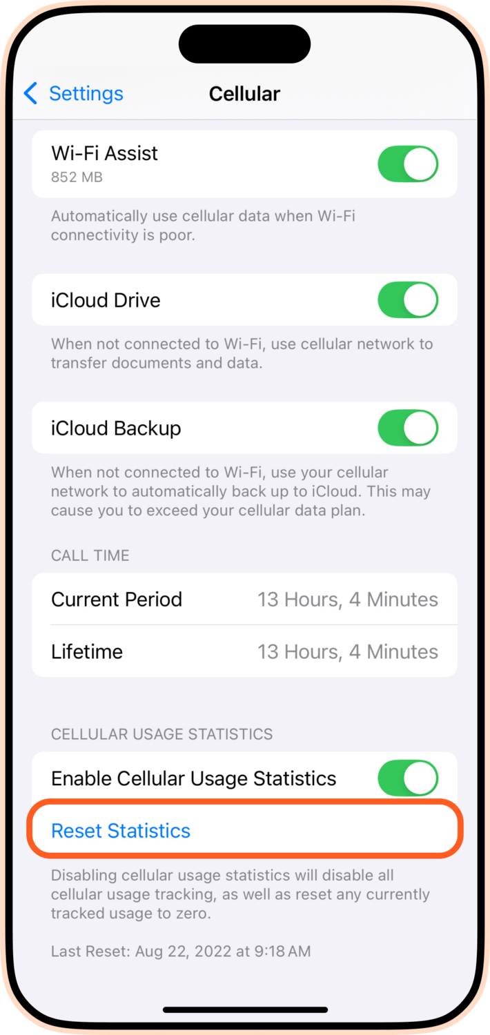 Reset Statistics iPhone