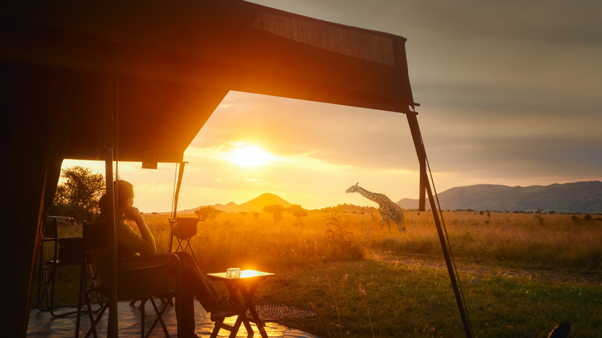Tende safari: l’avventura incontra il comfort