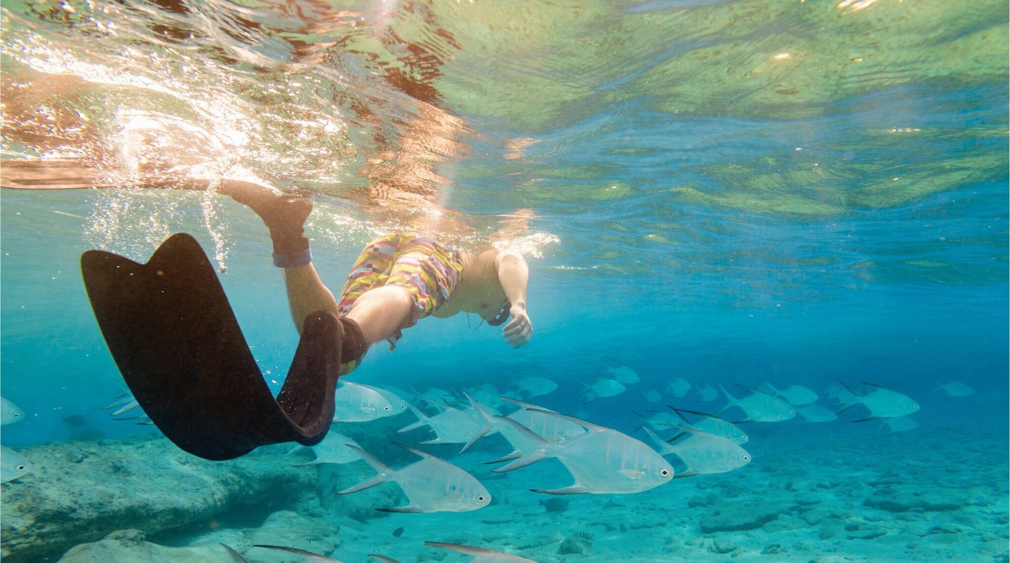 Mergulhador observando peixes no mar de San Andrés.