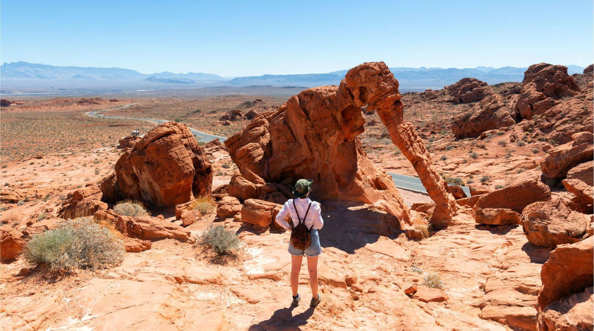 Persona de espaldas frente a formaciones rocosas rojizas en el desierto, bajo cielo despejado, en Valley of Fire.