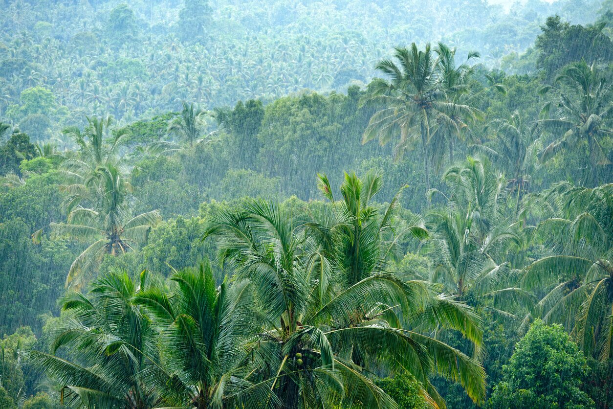 Vietnam zur Regenzeit