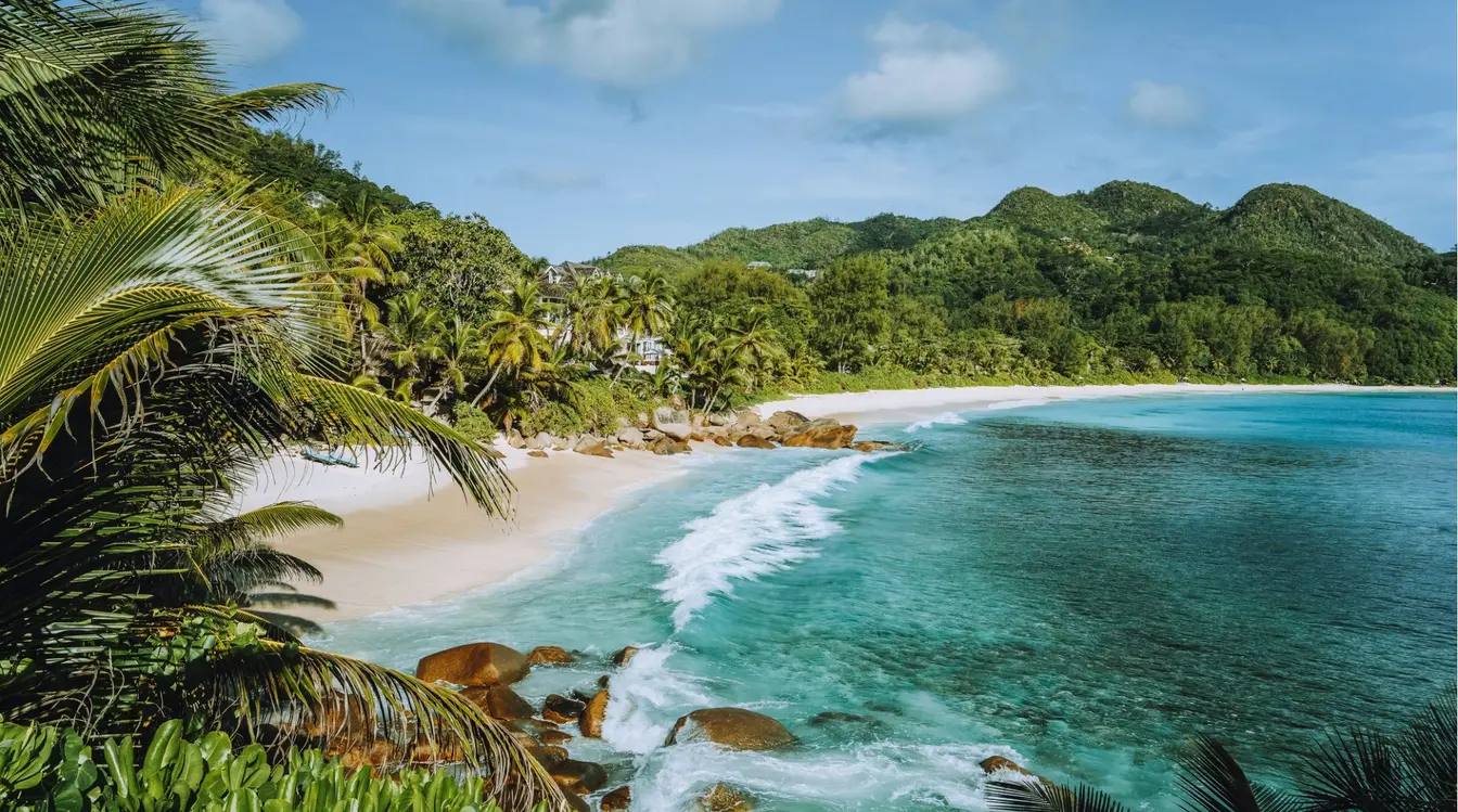 Plage bordée de palmiers sur l'île de Mahé, aux Seychelles, avec son sable blanc, ses rochers granitiques et ses eaux turquoise.
