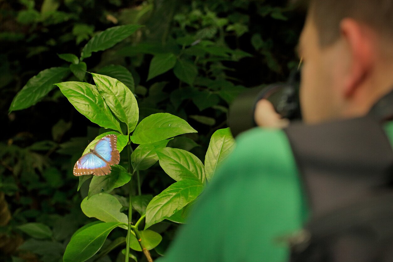Man taking a picture of a butterfly in Costa Rica