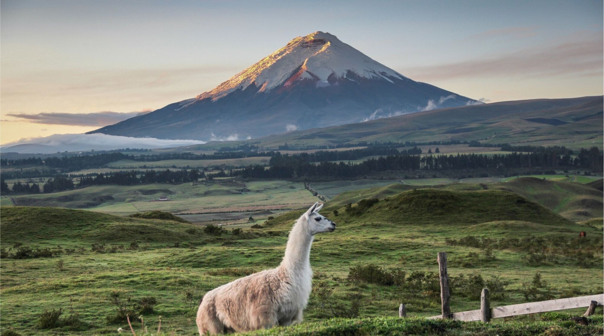 السياحة في الأكوادور