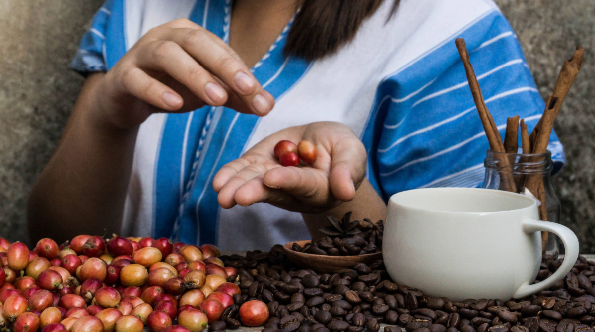 Mulher segurando grãos de café.