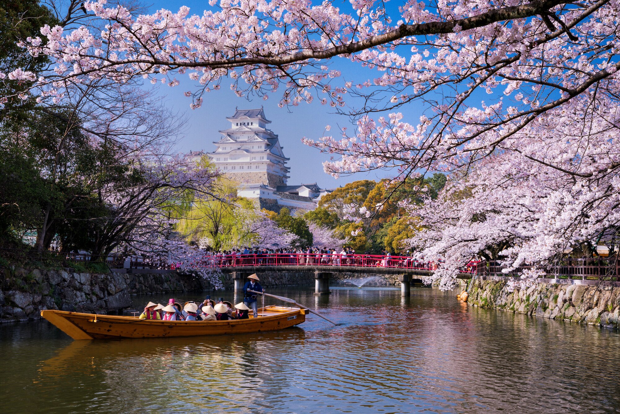 Fujiyoshida Alternatives: Best Places  in Japan to see Cherry Blossoms