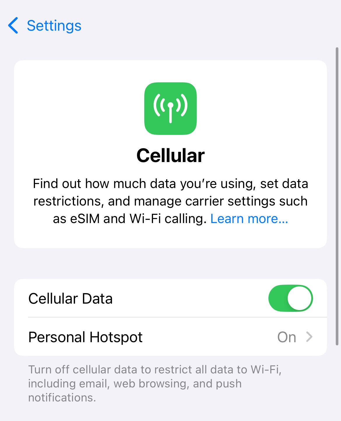 iPhone Cellular menu