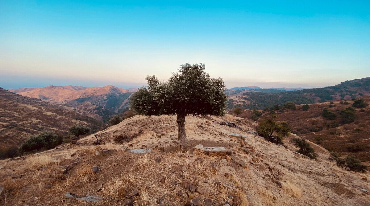 Cyprus landscape