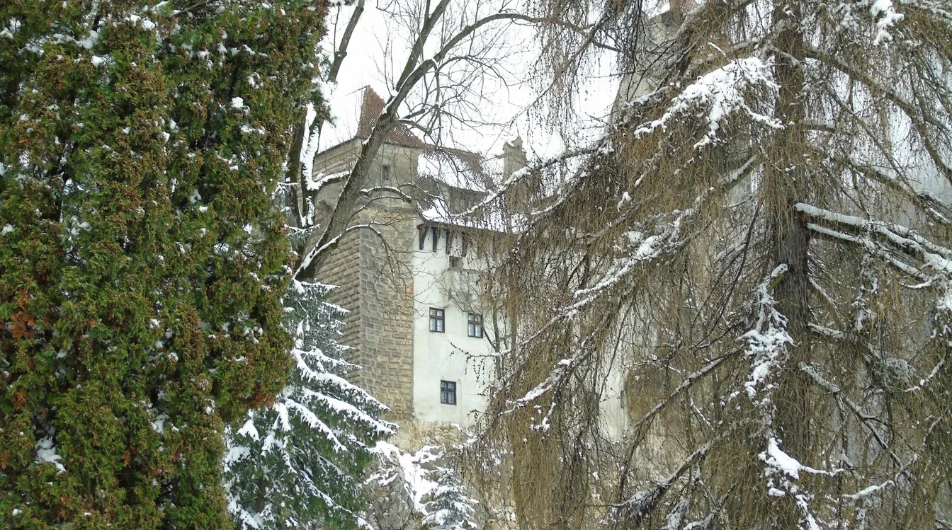 Bran Castle, nestled behind snowy trees
