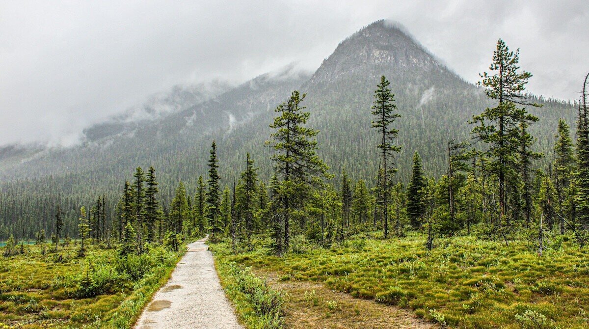 グレイトトレイル　カナダ