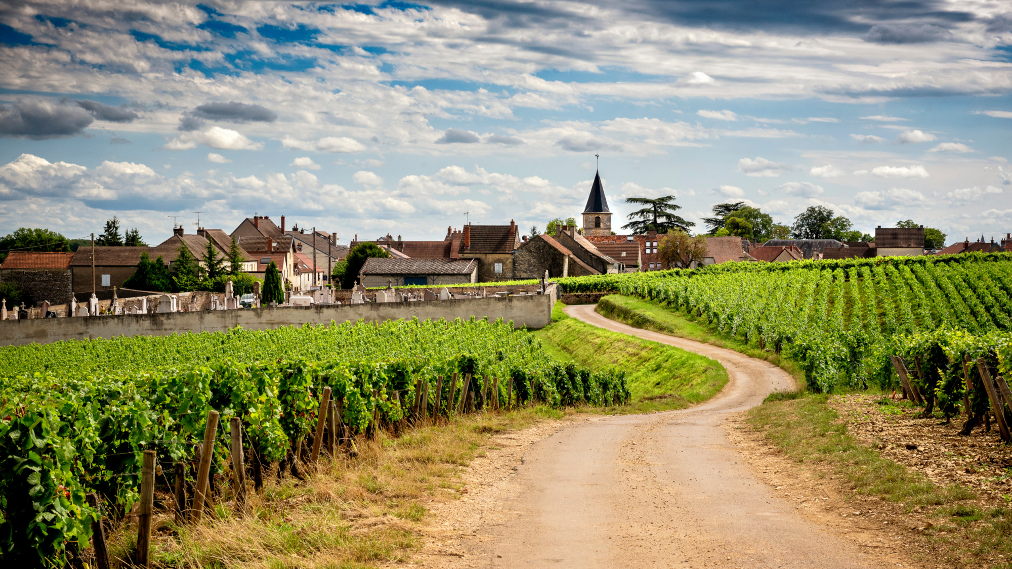 Tour enogastronomico in Francia con Airalo