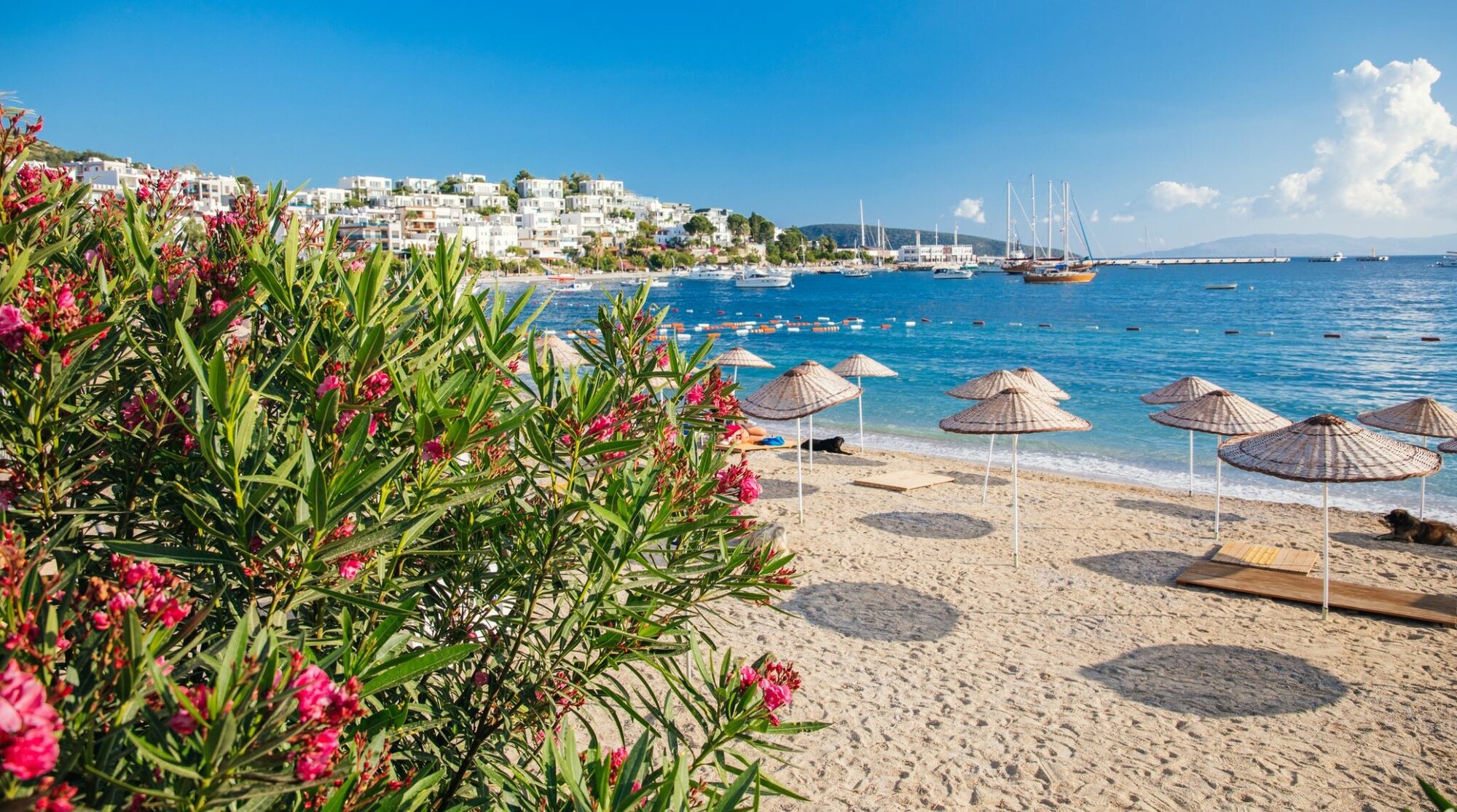 7 jours en turquie itineraire par bodrum
