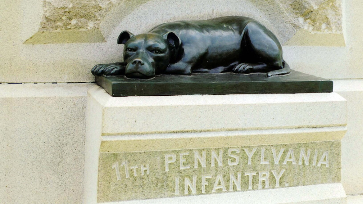A small bronze statue of Sallie the Pit Bull lying alert with her head resting on her paws. She guards the base of the 11th Pennsylvania Infantry Monument at Gettysburg, honouring her role as a Civil War mascot.