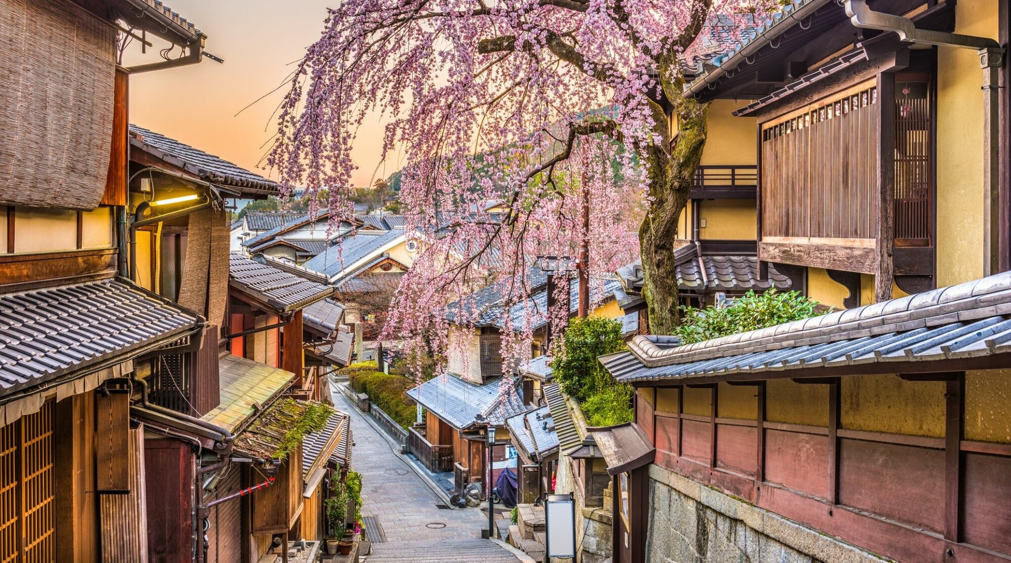 a voir au japon au printemps kyoto