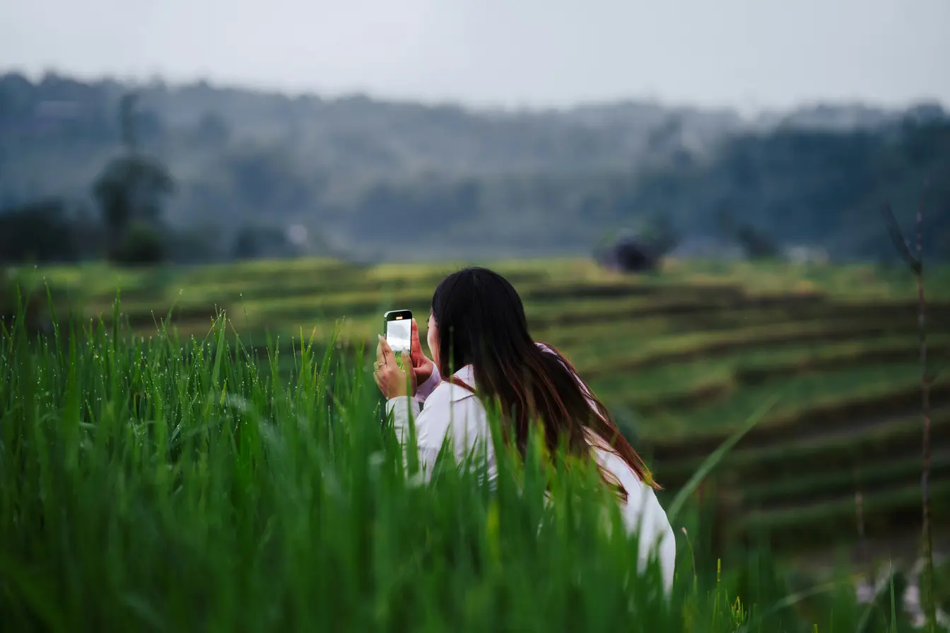 Una persona haciendo una foto en un arrozal para ilustrar cómo tener internet en Indonesia.