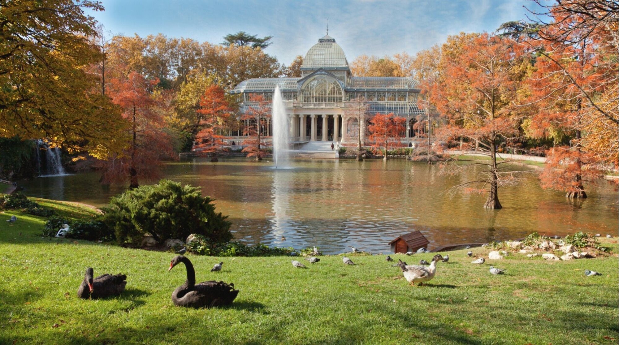 Palacio de Cristal reflejado en el estanque del Parque del Retiro