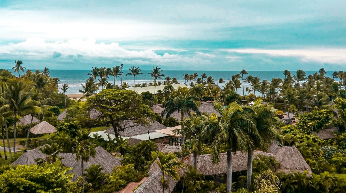 Palm trees and beach in Fiji