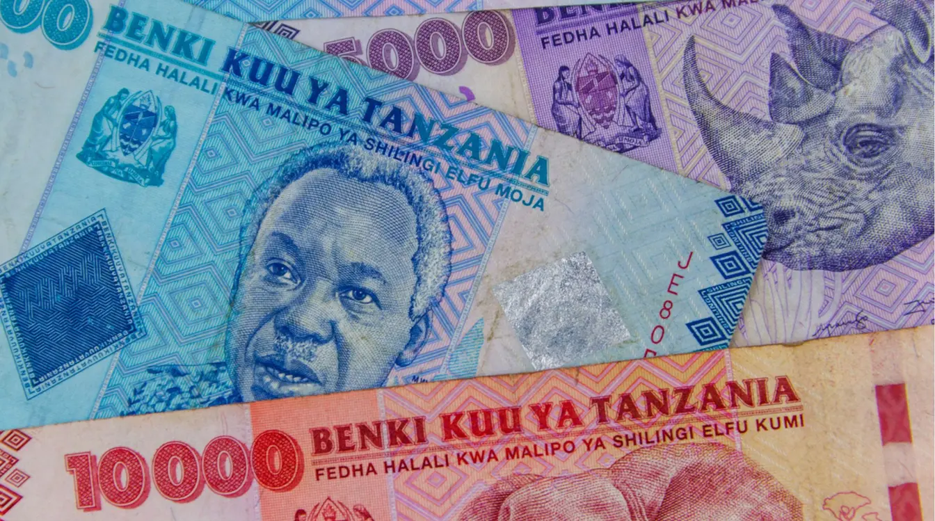 Billets en shillings tanzaniens, monnaie locale indispensable lors d'un voyage Zanzibar