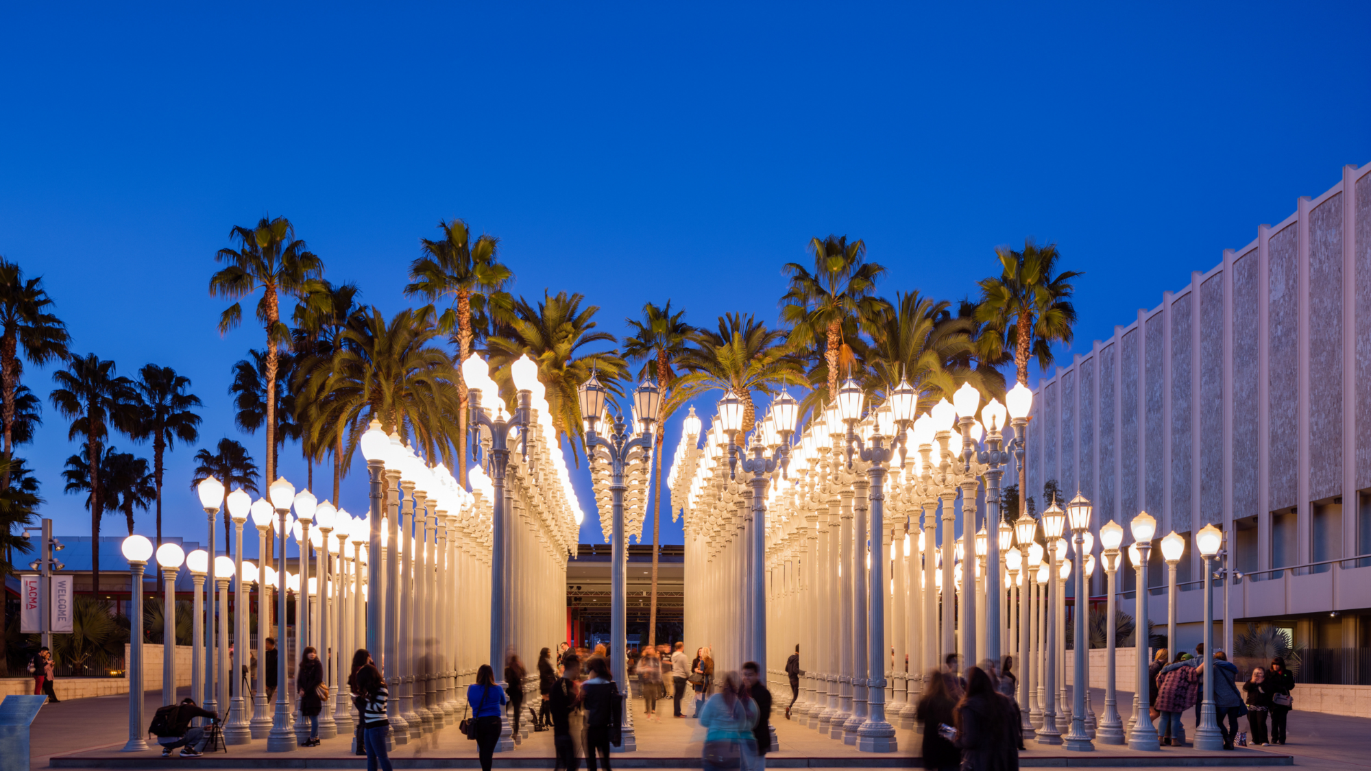 LACMA e La Brea Tar Pits