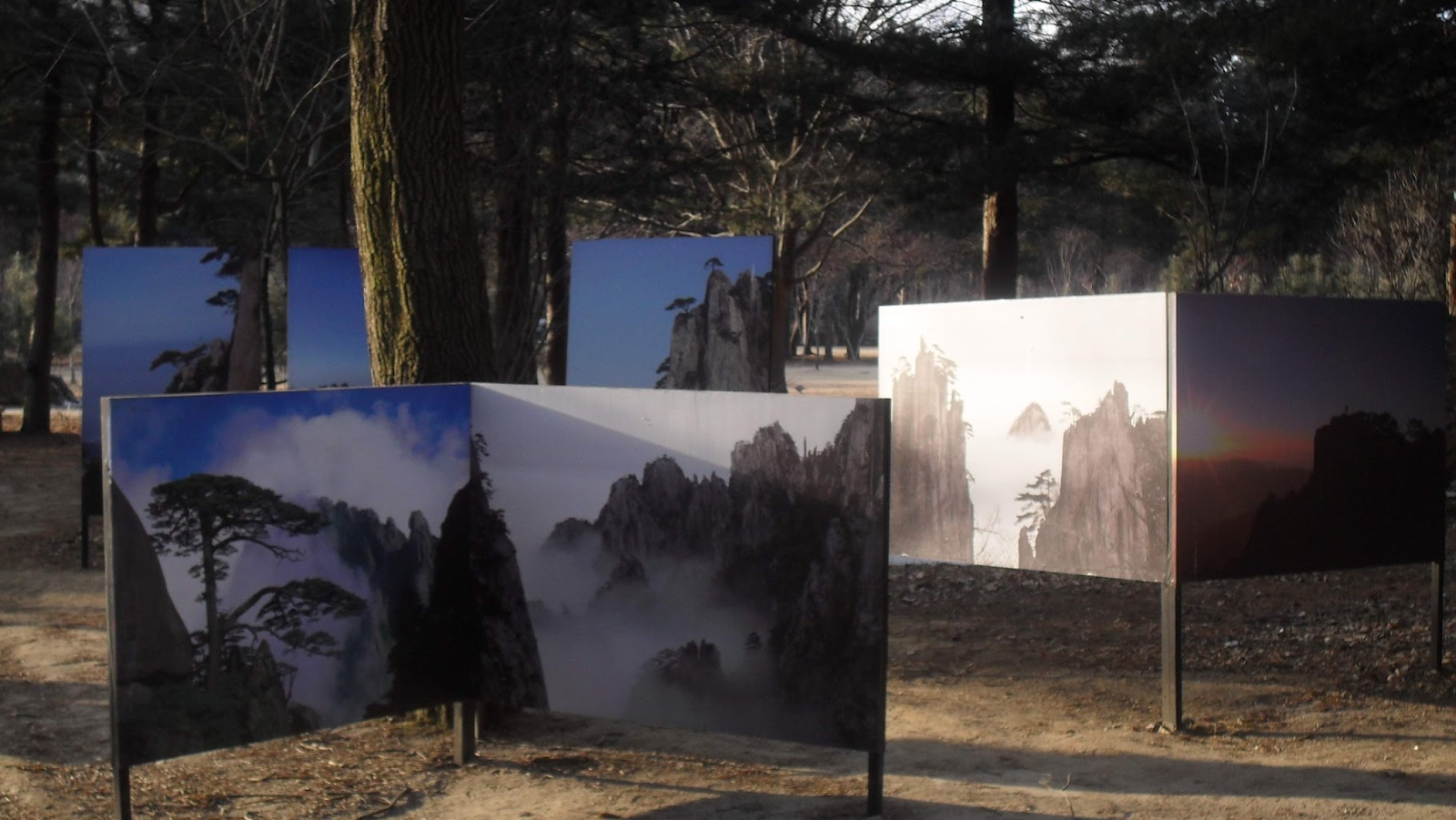 Paintings in a park on Nami Island