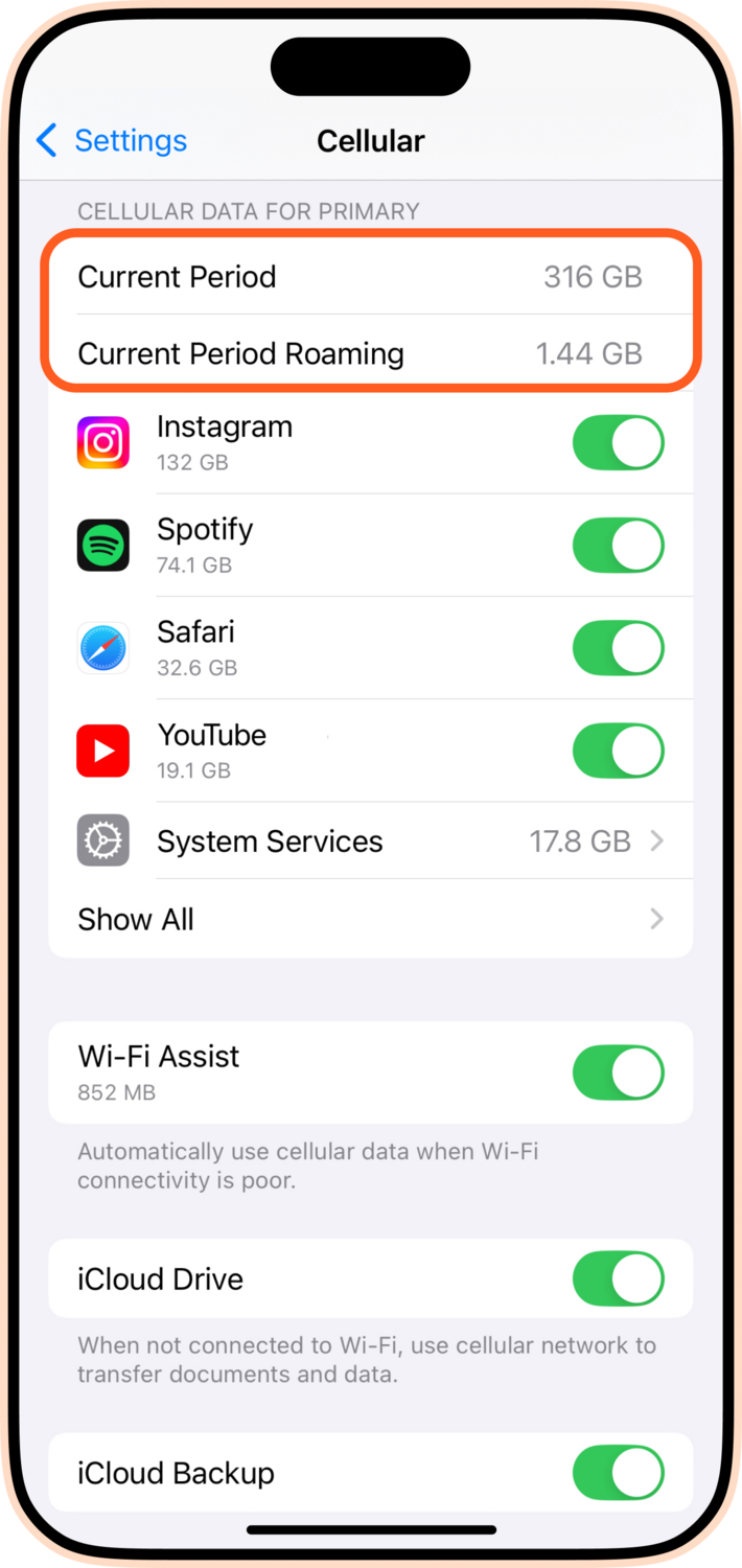 Current Period Roaming iPhone