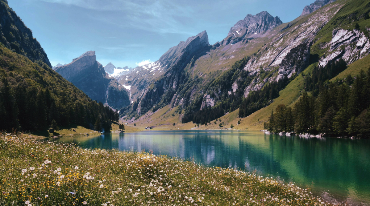 Campo em Appenzell, Suíça