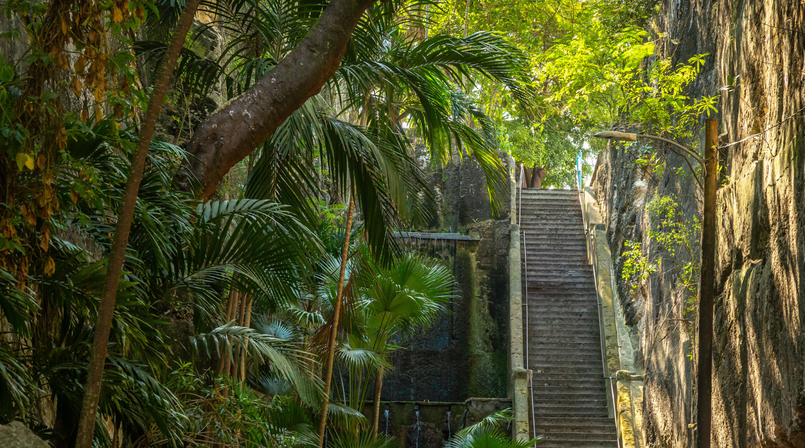 Queen's Staircase surrounded by greenery in Nassau, Bahamas