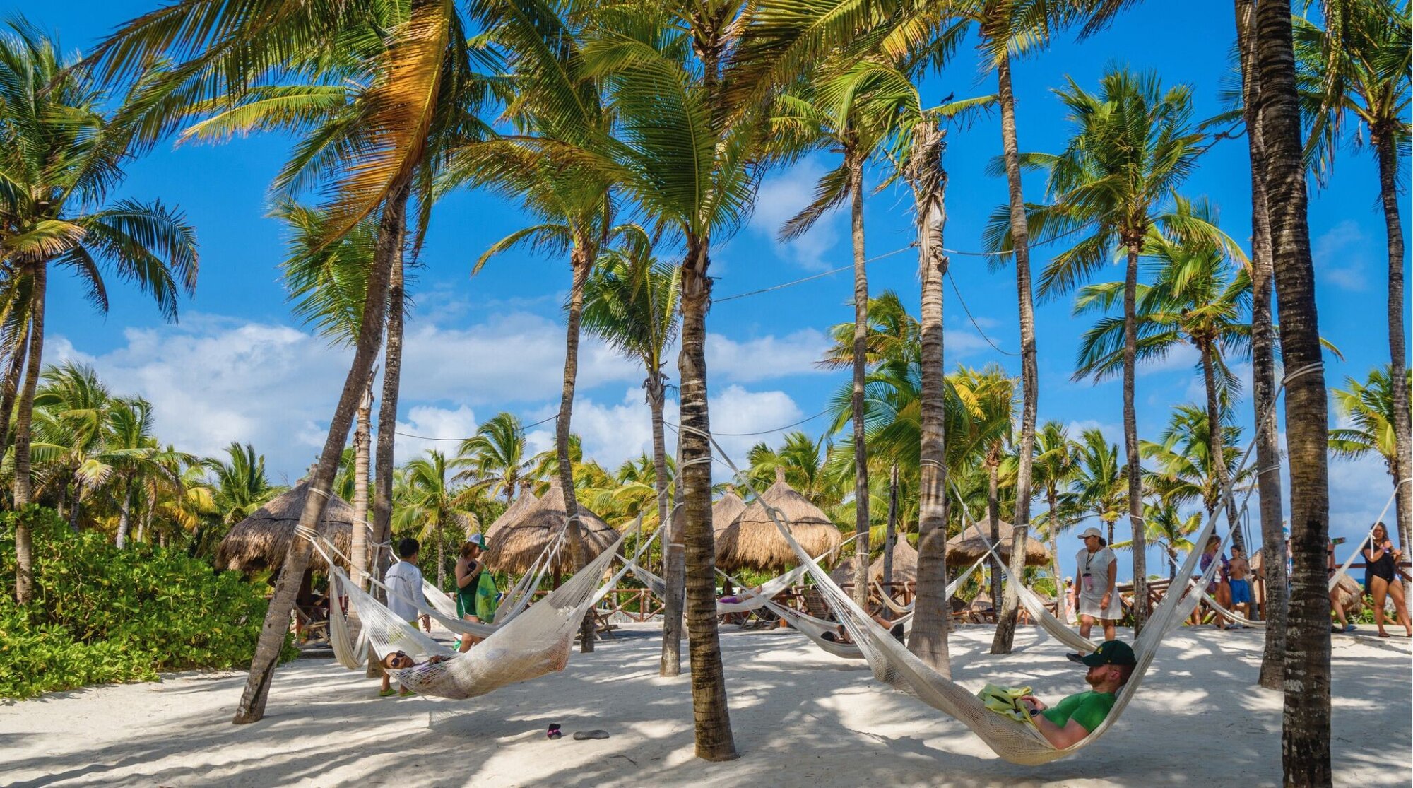Cancún. Homens e mulheres relaxando em redes na praia de areia branca entre palmeiras, Playa del Carmen, Riviera Maya, Yucatán, México