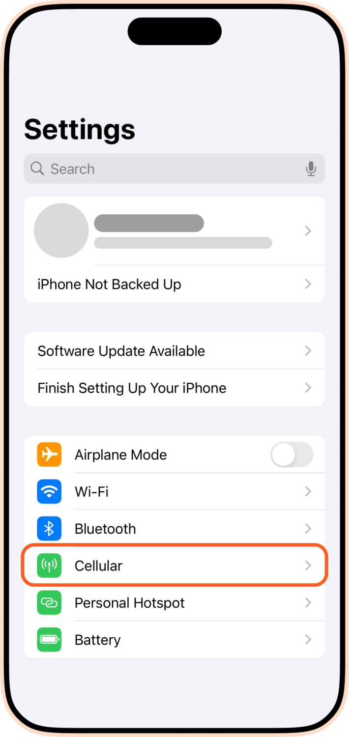 Cellular data iPhone