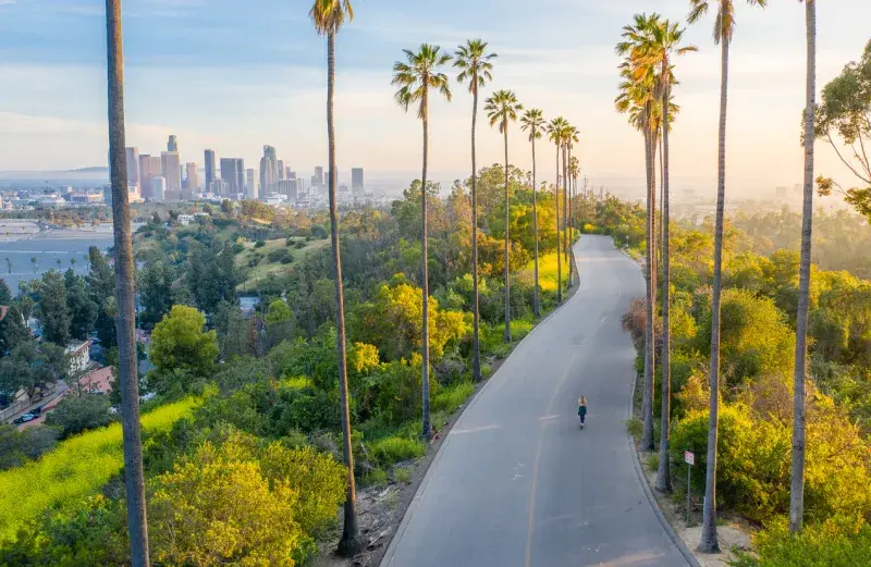 Vista panorámica de Los Ángeles con una carretera bordeada de palmeras en primer plano.