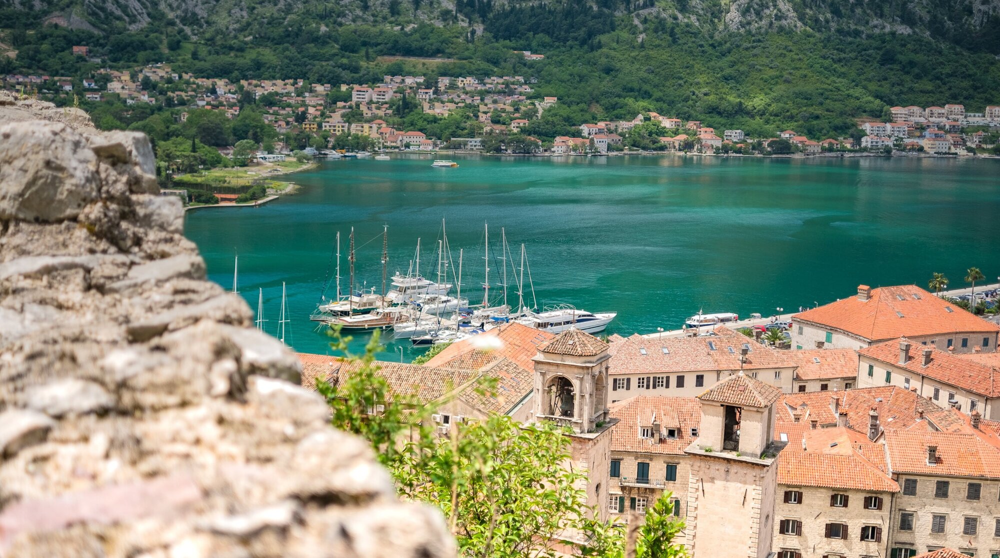 مونتينيجرو