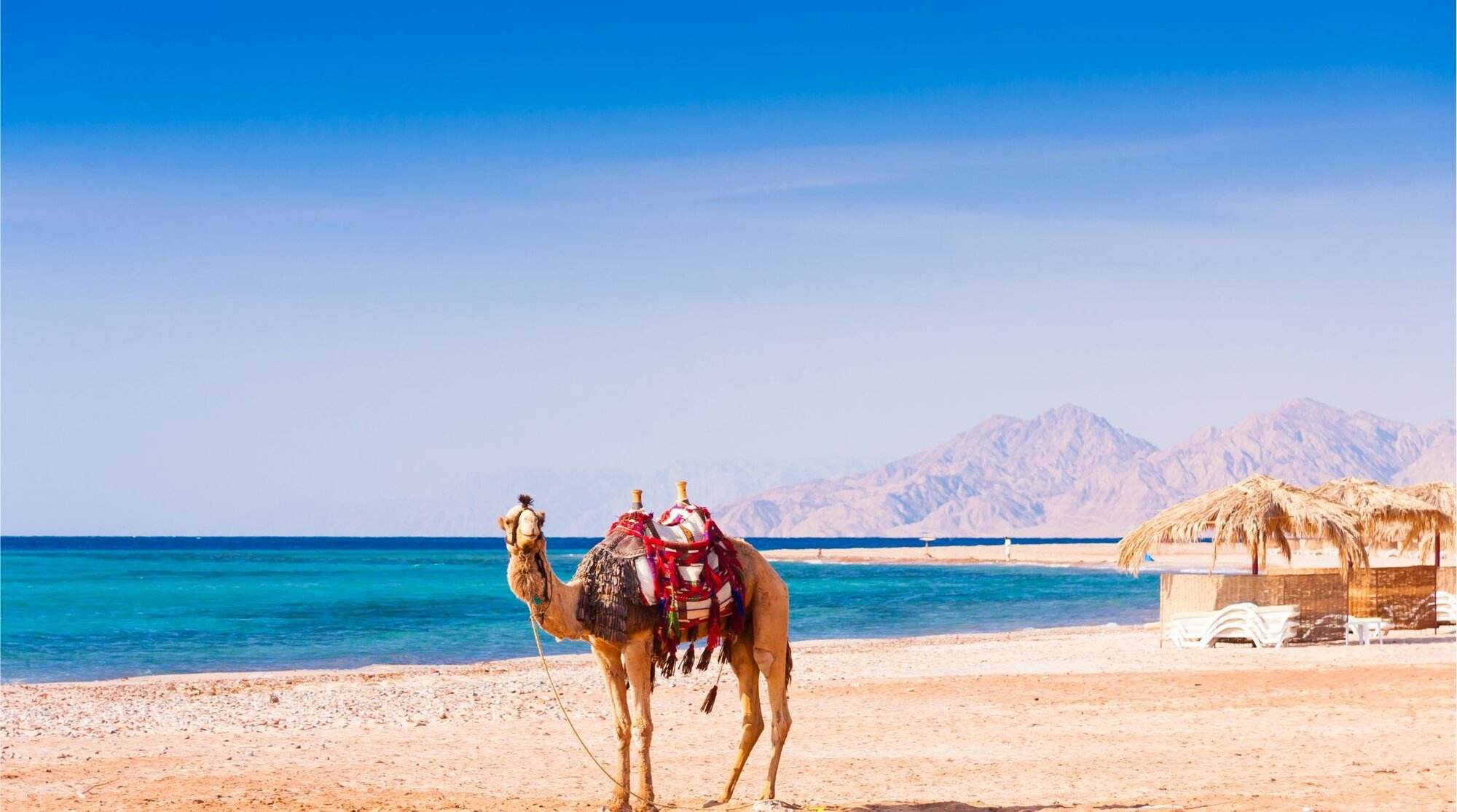 البحر الأحمر في مصر