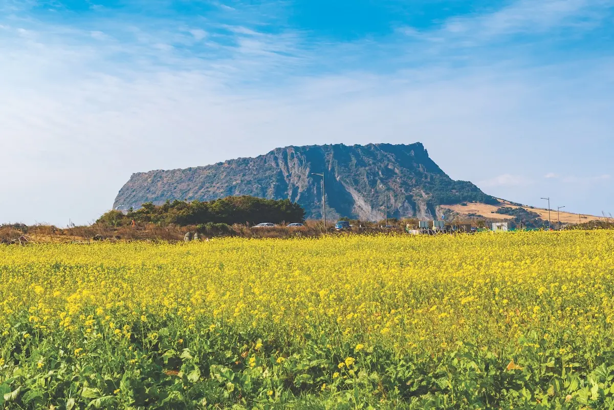 韓国ドラマ『おつかれさま』のロケ地になった済州島の城山日出峰
