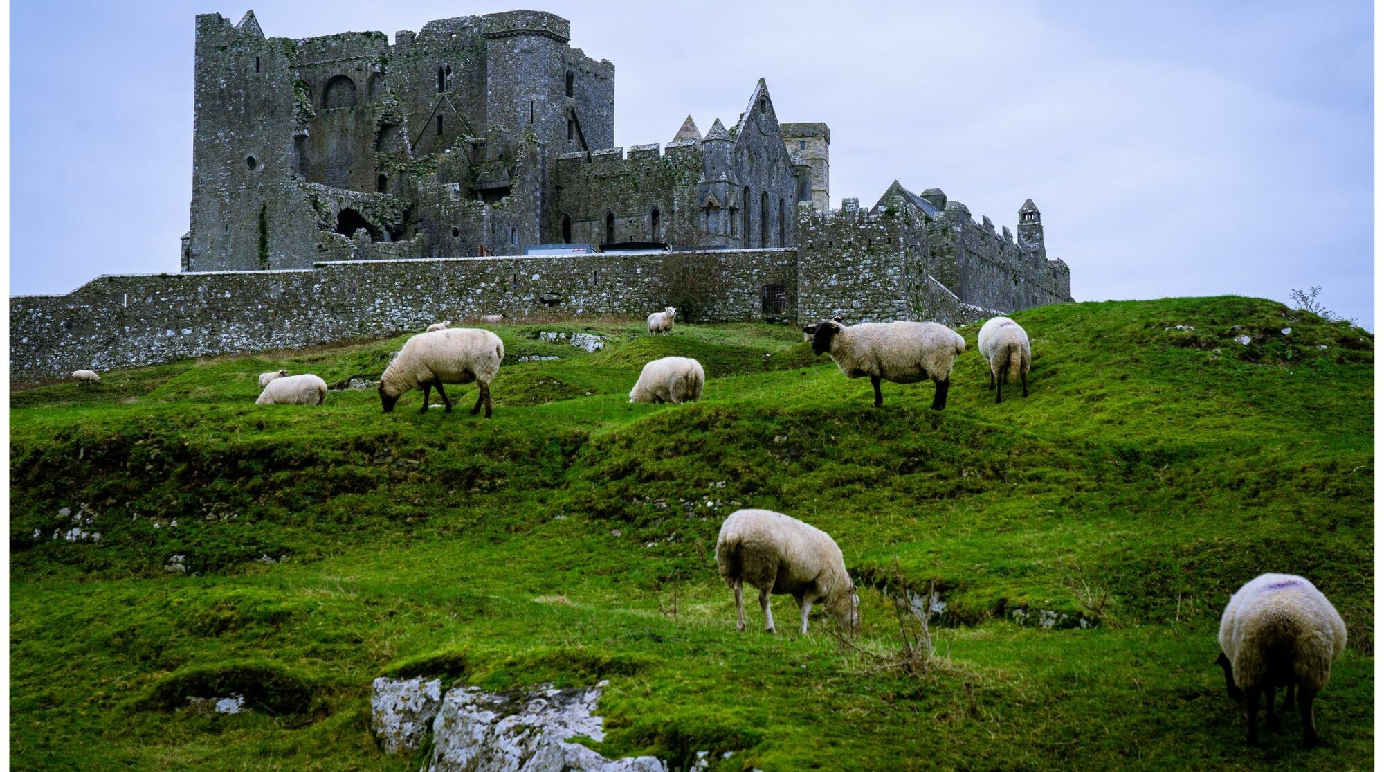 الحياة الطبيعية في ايرلندا