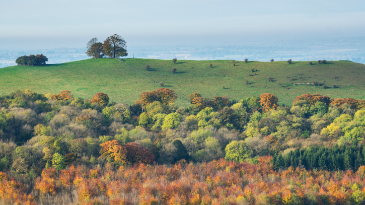 The Chiltern Hills in the autumn, showing rolling green hills and trees with leaves of orange and brown.
